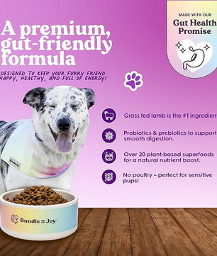 Brave Probiotic Dog Food Dry, Lamb, 4lb Bag, Allergy and Gut-Friendly Adult Kibble for Digestive Health with Grass-Fed Lamb, 20 Plant Based Superfoods, Poultry and Grain Free