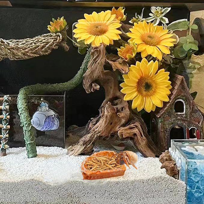 3 Pack Resin Reptile Dish for Food and Water, Hermit Crab Accessories, Hermit Crab Supplies, Hermit Crab Water Bowl, Habitat Accessories for Hermit Crab, Bearded Dragon, Gecko, Tortoise