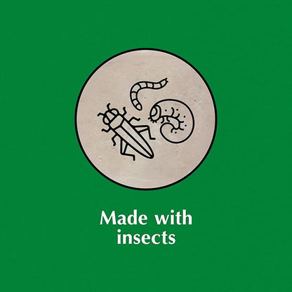 C&S Insect Suet Treat, Suet Cakes for Wild Birds, 11.75 Ounces, Pack of 8