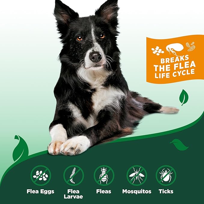Vet’s Best Indoor Flea and Tick Spray – Dog Flea and Tick Treatment for Home, Plant-Based Formula with Natural Oils, Kills Fleas, Eggs & Ticks on Contact, Made in USA, 32 oz
