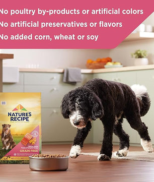 Nature′s Recipe Grain Free Salmon, Sweet Potato & Pumpkin Recipe Dry Dog Food, 4 lb. Bag (Pack of 2)