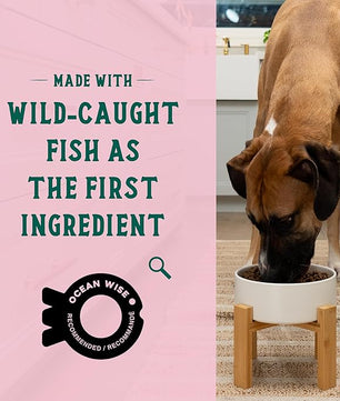 Open Farm Goodbowl, Oven-Baked Small Batch Dry Dog Food - Wild Caught Salmon & Brown Rice Recipe, Includes Non-GMO Produce & Grains, 22lb Bag (352oz Bag)