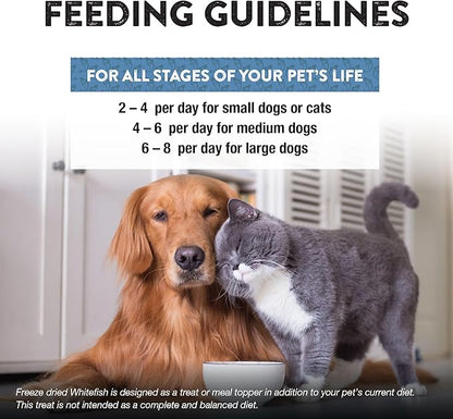 Northwest Naturals Raw Rewards Freeze-Dried Whitefish Treats for Dogs and Cats - Bite-Sized Pieces - Healthy, 1 Ingredient, Human Grade Pet Food, All Natural, Proudly Made in USA 10 Oz