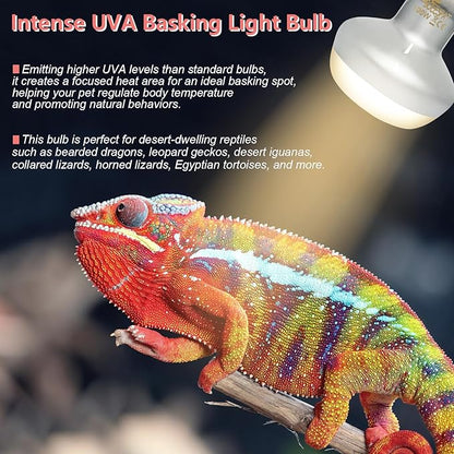 Intense 75W UVA Daylight Heat Lamp Bulbs for Basking - Simulated Sunlight Perfect for Desert-Dwelling Reptiles and Amphibians Like Bearded Dragons, Geckos, Iguanas, Lizards, (Pack of 2)