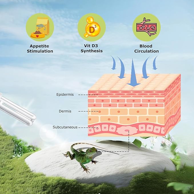 UVB 5.0 Linear Lamp 13W, Compact Fluorescent Lamp, UVA-UVB Light for Terrarium Tropical & Sub-Tropical Terrariums, Ideal for Reptiles Chameleons, Iguanas, Turtles & Rainforest Reptile Tank