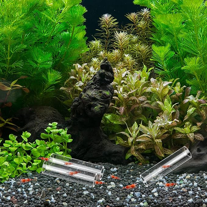 WEAVERBIRD 3-Tube Fish Shrimp Feeder - Acrylic Transparent Breeding Tube & Shelter for Aquarium Fish Tank Decorations