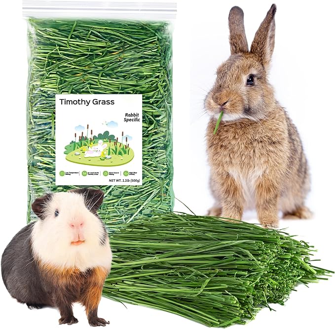 Fhiny Timothy Hay for Rabbit, 1.1LB Hand-Selected Premium Natural Timothy Hay Chinchilla Hay Hamster Food for Bunny Guinea Pig Chinchilla Hamster & Other Small Animals