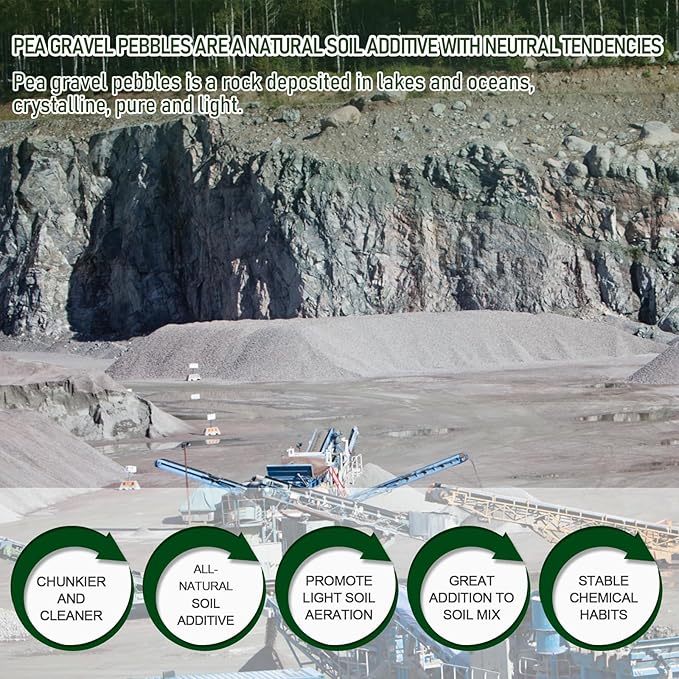 2 LBS Green Pea Gravel, Natural Succulent and Cactus Gravel Pebbles, Pebbles for Indoor Plants, Natural Gardens Mulching, for Houseplants, for Aquarium Gravel, to Maintain Soil Aeration(4-6mm)