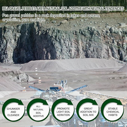 2 LBS Green Pea Gravel, Natural Succulent and Cactus Gravel Pebbles, Pebbles for Indoor Plants, Natural Gardens Mulching, for Houseplants, for Aquarium Gravel, to Maintain Soil Aeration(4-6mm)