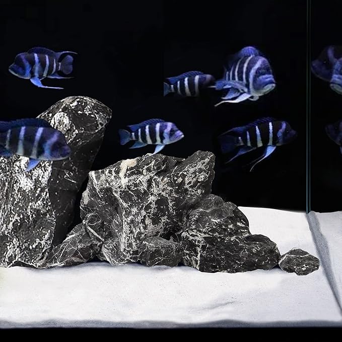 LANDEN NanshaPure Natural Sand 11lbs (3L) for Reef or Hardwater Aquarium, Premium Aragonite Cosmetic Sand for Saltwater and Marine Aquascape, Substrate for Cichlid, Harlequin Shrimp and Hermit Crab