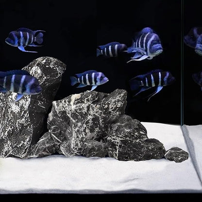 LANDEN NanshaPure Natural Sand 11lbs (3L) for Reef or Hardwater Aquarium, Premium Aragonite Cosmetic Sand for Saltwater and Marine Aquascape, Substrate for Cichlid, Harlequin Shrimp and Hermit Crab