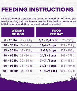 Wellness Complete Health Dry Dog Food with Grains, Natural Ingredients, Made in USA with Real Meat, All Breeds, For Adult Dogs (Chicken & Oatmeal, 5-Pound Bag)