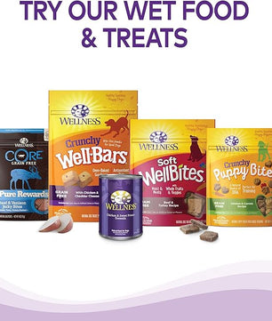 Wellness Complete Health Dry Dog Food with Grains, Natural Ingredients, Made in USA with Real Meat, All Breeds for Adult Dogs (Chicken & Oatmeal, 15-Pound Bag)