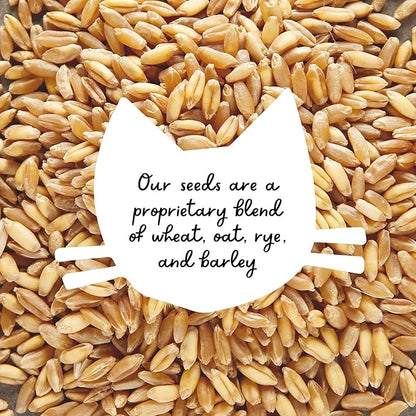 The Cat Ladies Organic Cat Grass for Indoor Cats - Growing Kit with Organic Seed Mix, Soil and Black Cat Planter. Natural Hairball Control and Digestion Remedy, Cat Gifts