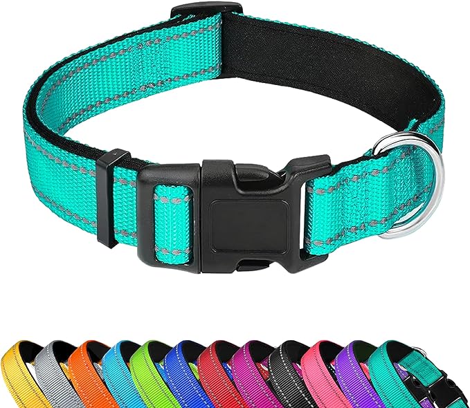 Reflective Dog Collar, Adjustable Soft Neoprene Padded Nylon Pet Collars with Buckle for Small Dogs, Teal,S