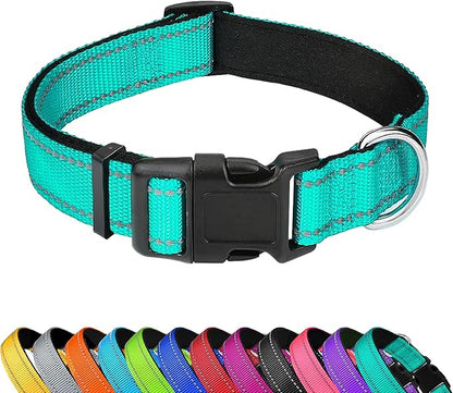 Reflective Dog Collar, Adjustable Soft Neoprene Padded Nylon Pet Collars with Buckle for Large Dogs, Teal,L