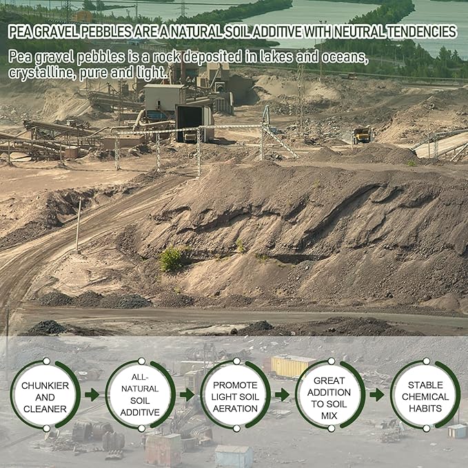 2 LBS Yellow Pea Gravel, Natural Succulent and Cactus Gravel Pebbles, Pebbles for Indoor Plants, Natural Gardens Mulching, for Houseplants, for Aquarium Gravel, to Maintain Soil Aeration(4-6mm)