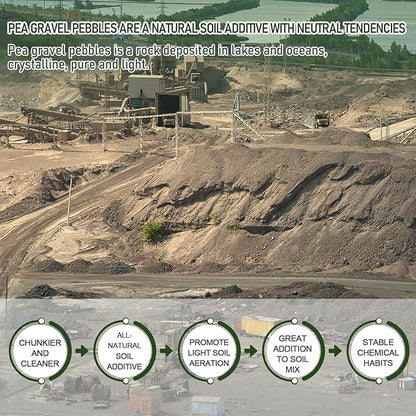 2 LBS Yellow Pea Gravel, Natural Succulent and Cactus Gravel Pebbles, Pebbles for Indoor Plants, Natural Gardens Mulching, for Houseplants, for Aquarium Gravel, to Maintain Soil Aeration(4-6mm)