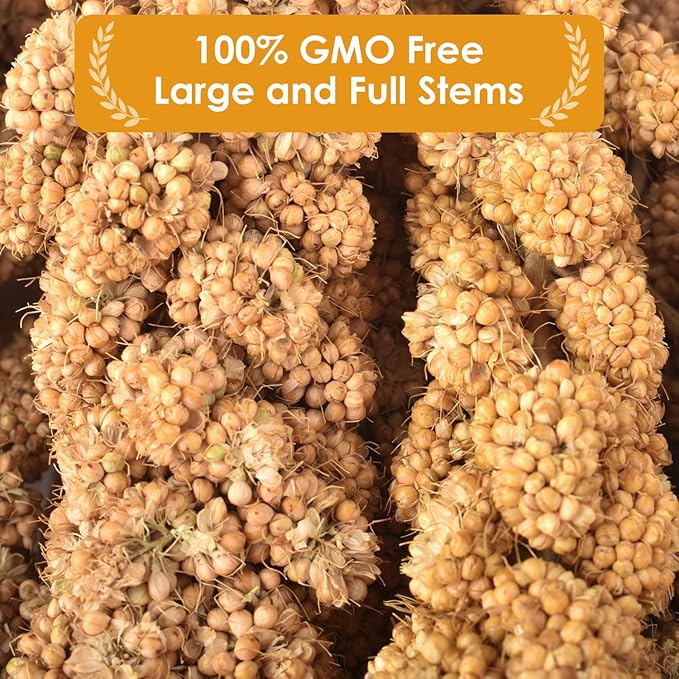 KATUMO Spray Millet Treats, 7Oz / 200g Natural Sun-Dried Bird Treats for Parakeet Conure Cockatiel Finch Pigeon Hamster Canary