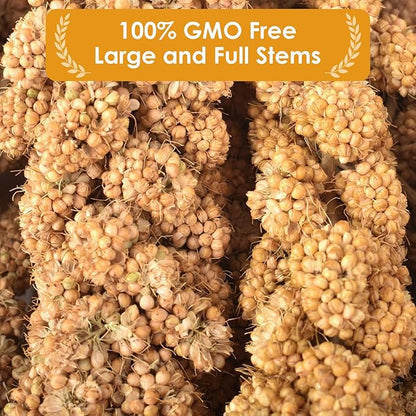 KATUMO Spray Millet Treats, 7Oz / 200g Natural Sun-Dried Bird Treats for Parakeet Conure Cockatiel Finch Pigeon Hamster Canary