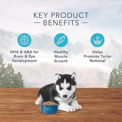 Blue Buffalo Wilderness Rocky Mountain Recipe High Protein, Natural Puppy Dry Dog Food, Red Meat 4-lb