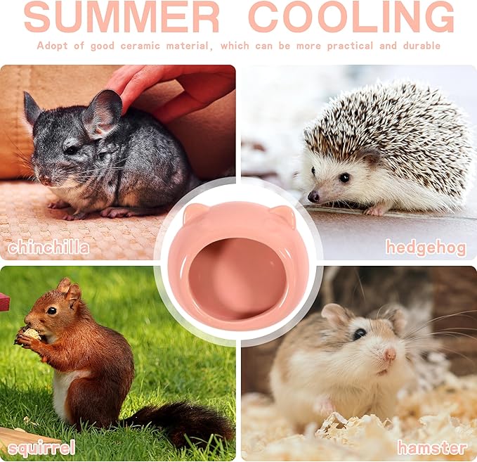 Ceramic Small Pet Hamster Food Bowl Guinea Pig Food Bowls Hamsters Water Bowl Ferret Chinchillas Squirrels Hedgehog Accessories Reptiles Hamster Accessories for Cages (Pink)