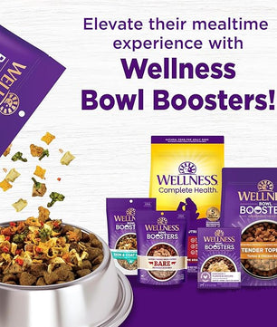 Wellness Complete Health Dry Dog Food, Grain Free, Natural, Lamb Recipe, (24-Pound Bag)