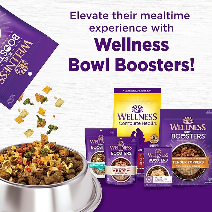 Wellness Complete Health Dry Dog Food, Grain Free, Natural, Lamb Recipe, (24-Pound Bag)