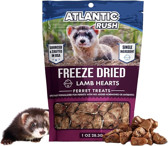 Atlantic Rush Freeze Dried Small Pet Treats - Resealable Bag of Turkey Heart Treats for Ferrets - Ferret Snacks - Single Ingredient Ferret Food with No Preservatives Or Fillers- Small Animals Treats