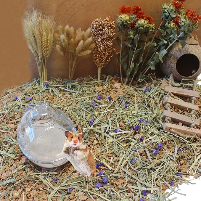 Hamster Bath Sand, 3lb Dust Free Desert Sand or Potty Litter Sand for Hamster Chinchillas Gerbil Syrian Mice Small Animals(Beige)