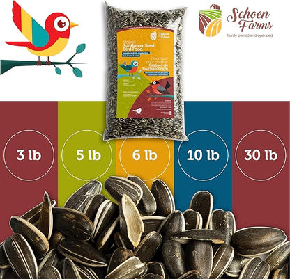 Schoen Farms Striped Sunflower Seeds – Hulled Wild Bird Food – 3 lb Bag – Clean, No-Mess Bird Seed for Finches, Jays & Cardinals