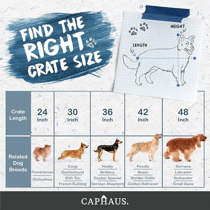 CAPHAUS Foldable Dog Crate Wire Metal Kennel w/Leak-Proof Pan & Protecting Feet & Divider Panel, Small, Medium & Large Indoor Cage, 48” w/Single or Double Doors