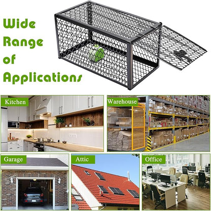 Qualirey 2 Pcs Humane Rat Trap Chipmunk Rodent Mouse Squirrel Trap 11 x 6 x 6 Inches Live Animal Mouse Voles Hamsters Live Cage Rat Cage for Mice Easy to Catch and Release, Black