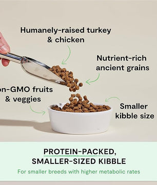 Open Farm, Ancient Grains Dry Dog Food For Small Breeds, Protein-Rich & Nutrient Dense, 90% Animal Protein With Non-GMO Fruits, Veggies and Superfoods, Chicken & Turkey Recipe For Small Dogs, 11lb Bag