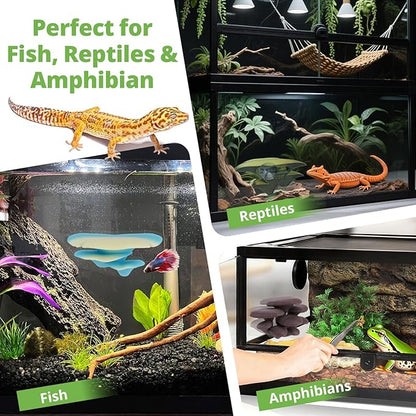 Mushroom Decor for Reptile Tank, Fish Tank, Pet-Safe Bearded Dragon Tank Accessories, Realistic Terrarium Plants for Leopard Geckos, Crested Geckos, Tree Frogs, Snakes (Cocoa, Trio Cap)