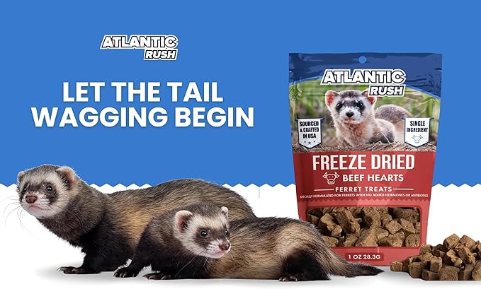 Freeze Dried Small Pet Treats - Resealable Bag of Treats for Ferrets - Ferret Snacks - Single Ingredient Ferret Food With No Preservatives Or Fillers- Small Animals Treats (1oz, Beef Heart)