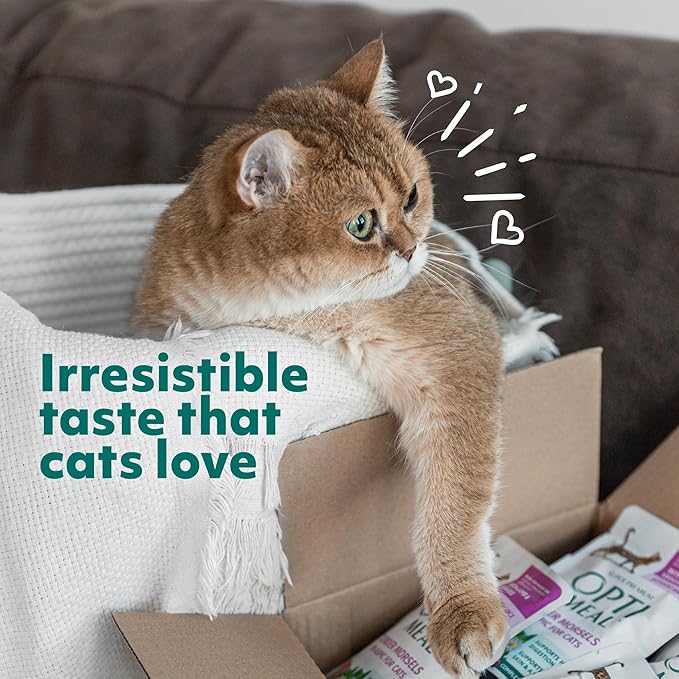 Optimeal Grain-Free Wet Cat Food Pouches – Beef & Rabbit in Savory Gravy, High Protein & Moisture-Rich Tender Morsels, Indoor Adult Cat Wet Food with Natural European Ingredients, 3 oz (Pack of 12)