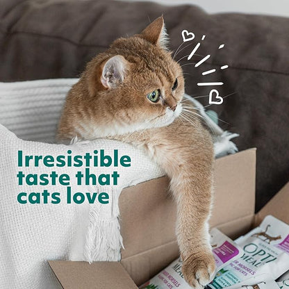 Optimeal Grain-Free Wet Cat Food Pouches – Beef & Rabbit in Savory Gravy, High Protein & Moisture-Rich Tender Morsels, Indoor Adult Cat Wet Food with Natural European Ingredients, 3 oz (Pack of 12)