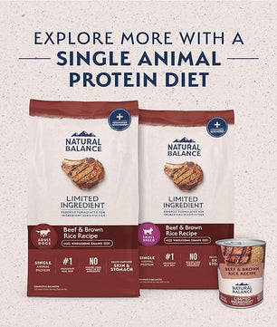 Natural Balance Limited Ingredient Adult Dry Dog Food with Healthy Grains, Beef & Brown Rice Recipe, 4 Pound (Pack of 1)
