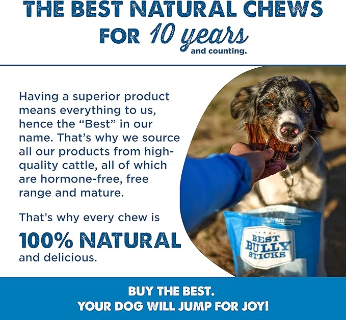 Best Bully Sticks 6 Inch Beef Jerky - 25 Count (Pack of 1) - All-Natural, High-Protein Gullet, Rawhide Alternative, Chewy Snack