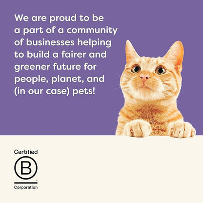 Applaws Natural Wet Canned Cat Food, Limited and Natural Ingredients, High Protein with No Artificial Additives, Chicken Selection Variety Pack in Broth (12 x 2.47oz Cans)