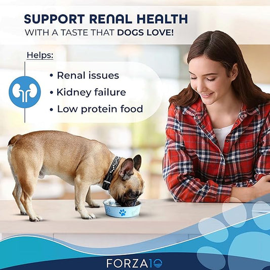 Forza10 Kidney Care Dog Food – Renal Support Wet Dog Food with Lamb, Low Protein & Phosphorus Formula, Sensitive Stomach, 3.5 oz Cans, 12 Pack – Vet Formulated, Made in Italy