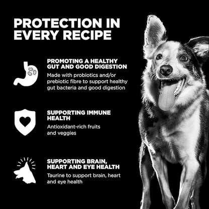 Go! Solutions Sensitivities Limited Ingredients, Grain-Free Dry Dog Food, Duck Recipe for Sensitive Stomach, 3.5 lb Bag