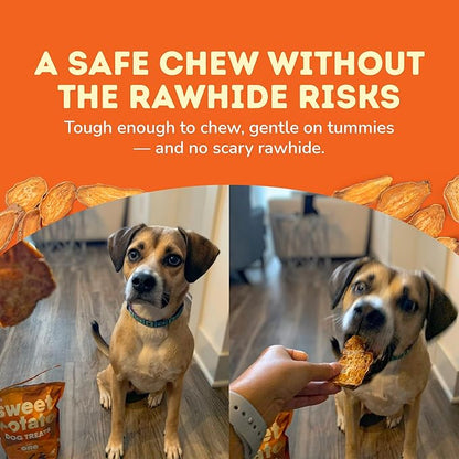 Davie's Sweet Potato Dog Treats - Healthy, Natural Dog Chews, Low Fat, 1 lb. Bag