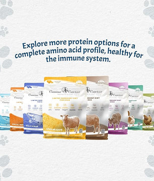 Canine Caviar - Small Breed: Chicken & Whole Ground Oats, Alkaline Dry Dog Food, Limited Ingredients, Gluten-Free, Based on Science & Research, Veterinary Alternative Diet (22 Pound Bag)