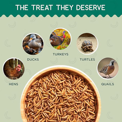 FLYGRUBS 20 lb Dried Black Soldier Fly Larvae – Superior to Mealworms for Chickens–85X More Calcium,Non-GMO,High-Protein Feed & Molting Supplement for Hens, Ducks, Turkeys, Wild Birds, Quails, Turtles