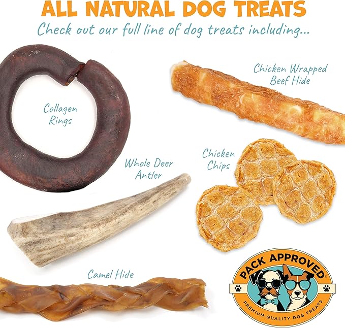 6" Braided Camel Sticks - Long Lasting Dog Chews for Aggressive Chewers - Rawhide Alternative, Grain Free, One Ingredient Dog Treats - Great for Dog Dental Care - (10 Pack)