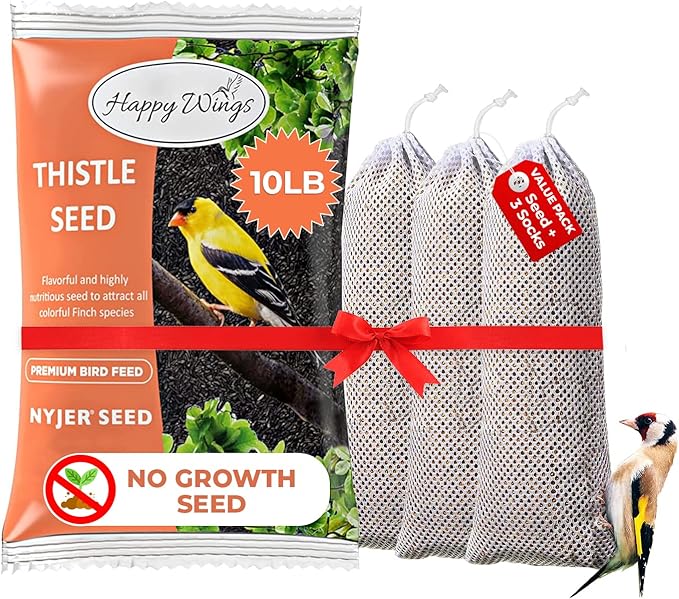 Nyjer/Thistle Seeds with Empty Sock for Wild Bird Food - 10 Pounds I No Grow Seed