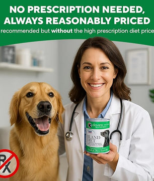 Dave's Pet Food Bland Dog Food (Lamb & Rice), Canned Wet Dog Food for Sensitive Stomachs, Gluten-Free, Digestive Care, 13.2 oz (Case of 12)