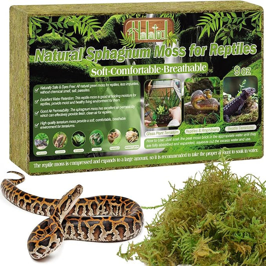 Halatool 9OZ Natural Sphagnum Moss for Reptiles- 14QT Green Moss for Terrarium Plants Long Fiber Reptile Moss for Leopard Gecko Snake Hamsters Tortoises Frogs Lizards Salamanders